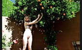 David Nudes 448459 Amanda Amanda Presents Quiet Time Naughty Cutie Having A Naked Picnic Under An Orange Tree
