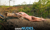 David Nudes 448521 Tatyana Tatyana Root Contrasting Textures In Nature....
