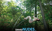 David Nudes 448578 Elizabeth Elizabeth Explore Wind Blowing Slowly, Tree Branches Swaying In Wind....
