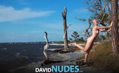 David Nudes 448584 Tatyana Tatyana Shoreline Some Landscapes Can Only Be Improved By A Beautiful Nude Body....
