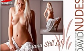 David Nudes 448591 Tatyana Tatyana Still Life Eroticism Comes In The Simplest Of Movements....
