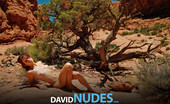 David Nudes 448630 Elaine Elaine Lie Down You Feel With What Your Gazing Eyes Would See....
