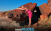 David Nudes 448711 Tatyana Tatyana Petrified Forest See Tatyana Pose Nude Among Rare 20 Million Year Old Petrified Wood In The Painted Desert Of Arizona...Simply Breathtaking!...
