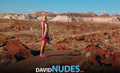 David Nudes 448711 Tatyana Tatyana Petrified Forest See Tatyana Pose Nude Among Rare 20 Million Year Old Petrified Wood In The Painted Desert Of Arizona...Simply Breathtaking!...
