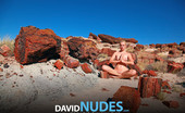 David Nudes 448711 Tatyana Tatyana Petrified Forest See Tatyana Pose Nude Among Rare 20 Million Year Old Petrified Wood In The Painted Desert Of Arizona...Simply Breathtaking!...
