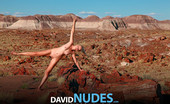 David Nudes 448711 Tatyana Tatyana Petrified Forest See Tatyana Pose Nude Among Rare 20 Million Year Old Petrified Wood In The Painted Desert Of Arizona...Simply Breathtaking!...
