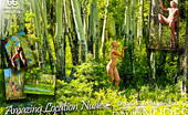 David Nudes 448796 Tatyana Tatyana Silver Maples Pack 1 If You Dont Feel Drawn Into This Shoot Three Dimentionally, I Fucking Quit This Photography Bullshit :)...

