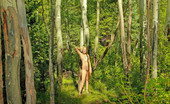 David Nudes 448796 Tatyana Tatyana Silver Maples Pack 1 If You Dont Feel Drawn Into This Shoot Three Dimentionally, I Fucking Quit This Photography Bullshit :)...
