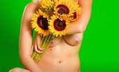 David Nudes 448901 Amber Sunflowers Blonde Cutie With Big Natural Tits Nourishes A Simple Flower...
