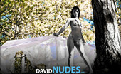 David Nudes Nicole Nicole Mystical The Wind Blows And Wraps This Natural Maiden In Luxury....
