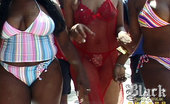 Black Spring Break Videos 450967 Black Spring Break Videos
