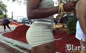 Black Spring Break Videos 450973 Black Spring Break Videos
