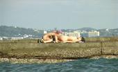 X Nudism 453244 Naked Teen Nudist Lets The Water Kiss Her Body
