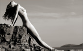 MPL Studios 462594 MPL Studios Mpl Studios Obsession Bw Series 1
