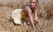Amour Angels 466009 Amour Angels Hot Model Stunning Teen Model Gets Naked In The Fields Where Her Food Is Grown To Give Some Her Sexiness To The Country Side.
