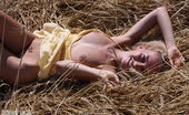 Amour Angels 466009 Amour Angels Hot Model Stunning Teen Model Gets Naked In The Fields Where Her Food Is Grown To Give Some Her Sexiness To The Country Side.
