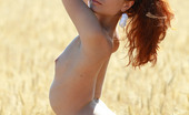 AV Erotica 476056 Kesy Natural Petite Redhead Teen Posing Naked In The Field AV Erotica
