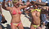 Spring Break Party Girls 478384 Spring Break Party Girls
