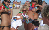 Spring Break Party Girls 478384 Spring Break Party Girls
