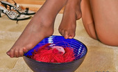 Nylon Feet Line 481955 Lillian Blondie Tongue-Polishing Her Yummy Toes Encased In Reinforced Toe Pantyhose Nylon Feet Line
