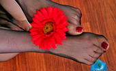 Nylon Feet Line 482066 Rita Extremely Sexy Babe Fondling Her Pantyhose Clad Feet With Beautiful Flower Nylon Feet Line

