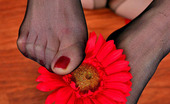 Nylon Feet Line 482066 Rita Extremely Sexy Babe Fondling Her Pantyhose Clad Feet With Beautiful Flower Nylon Feet Line
