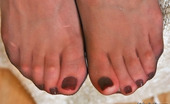Nylon Feet Line 482074 Ophelia Luscious Gal Polishing Her Well-Maintained Feet Clad In Expensive Grey Hose Nylon Feet Line
