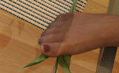 Nylon Feet Line 482583 Bianka Mischievous Babe Tickling Her Nyloned Feet With Tulip Before Tasting Them Nylon Feet Line
