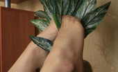 Nylon Feet Line 482587 Iva Curly Babe Giving A Glimpse Of Her Pedicured Feet In Slight Sheen Pantyhose Nylon Feet Line
