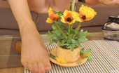 Nylon Feet Line 482616 Myrka Smashing Looking Chick Touching Beautiful Flowers With Her Nyloned Feet Nylon Feet Line
