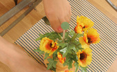 Nylon Feet Line 482616 Myrka Smashing Looking Chick Touching Beautiful Flowers With Her Nyloned Feet Nylon Feet Line
