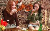 They Drunk 485450 Drunk LesbiansHot Lesbian Sex After Few Glasses Of Alcohol They Drunk

