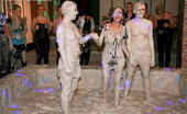 All Wam 486714 Two Sexy Daring Girls Enjoy Swimming In Cream At The Club All Wam
