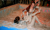 All Wam 486714 Two Sexy Daring Girls Enjoy Swimming In Cream At The Club All Wam
