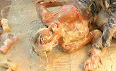 All Wam 486755 Two Hot And Sexy Babes Getting Messy As Hell In Food Fight All Wam
