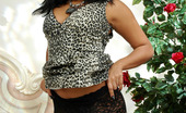 Lacy Nylons 493726 Joanna Ebony Babe Peels Off Her Animal Print Dress And Flashing Her Luxury Nylons Lacy Nylons
