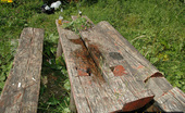 Pissing Outdoor 495807 Outdoor Flagrant Pissing Of Teen Blonde Walking In The ForestOutdoor Pissing Teen Blonde Alena Shows Off With Pissing On A Wooden Table In The Forest And Then Pissing Even More Sitting On The Bench Pissing Outdoor
