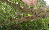 Pissing Outdoor 495919 Pissing From A Big Fallen TreeSmall Tits Blonde Irina Pissing Outdoor On A Big Fallen Tree As She Climbs Naked And Pissing From It Pissing Outdoor
