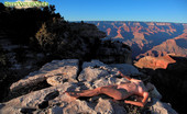 Sweet Nature Nudes 510532 Tatyana Tatyana Presents Grand Canyon Views Travel The World With Me, I Will Show You Much!... Sweet Nature Nudes
