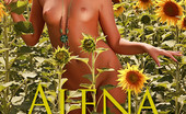 Sweet Nature Nudes 510543 Alena Alena Presents Pretty In Flowers Shimmering, Golden, Feeling The Fresh Breeze Caress The Skin...... Sweet Nature Nudes
