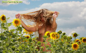 Sweet Nature Nudes 510543 Alena Alena Presents Pretty In Flowers Shimmering, Golden, Feeling The Fresh Breeze Caress The Skin...... Sweet Nature Nudes
