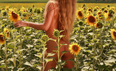 Sweet Nature Nudes 510543 Alena Alena Presents Pretty In Flowers Shimmering, Golden, Feeling The Fresh Breeze Caress The Skin...... Sweet Nature Nudes
