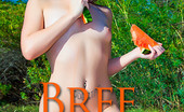Sweet Nature Nudes 510564 Bree Bree Presents My Sweet Juices Baby Bree Shows Us She Can Play Sexy Watermellon Picknick This Summer Just As Well As Any Other Sexy Nymph!... Sweet Nature Nudes
