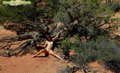 Sweet Nature Nudes 510592 Elaine Elaine Presents Posing For You To Be An Age Old Tree In The Desert...... Sweet Nature Nudes

