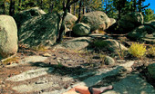 Sweet Nature Nudes 510654 Stacy Snow Stacy Snow Presents Body Netting Stacy Gives Us A Brand New View Of Her Full Body In These Amazing And Vivid Art Nudes Up In The Mountains Of Tuscon With David.... Sweet Nature Nudes
