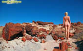 Sweet Nature Nudes 510724 Tatyana Tatyana Presents Naked Poses With Petrified Wood See Tatyana Pose Nude Among Rare 20 Million Year Old Petrified Wood In The Painted Desert Of Arizona...Simply Breathtaking!... Sweet Nature Nudes
