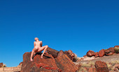 Sweet Nature Nudes 510724 Tatyana Tatyana Presents Naked Poses With Petrified Wood See Tatyana Pose Nude Among Rare 20 Million Year Old Petrified Wood In The Painted Desert Of Arizona...Simply Breathtaking!... Sweet Nature Nudes
