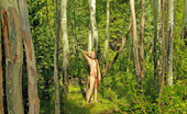 Sweet Nature Nudes 510729 Tatyana Tatyana Presents Whispering Woods If You Dont Feel Drawn Into This Shoot Three Dimentionally, I Fucking Quit This Photography Bullshit :)... Sweet Nature Nudes
