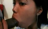 Asian Fellation 511589 Horny Filipina Cocksucker Loves Sucking Big Black Cock Asian Fellation

