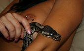 Cynthia Sin 512357 Cynthia Sinfully Poses Nude With Her Pet Snake Cynthia Sin
